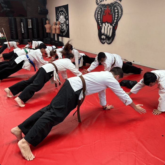 <center>Gain Technique, Strategy, and Mindfulness Through Martial Arts!<center>