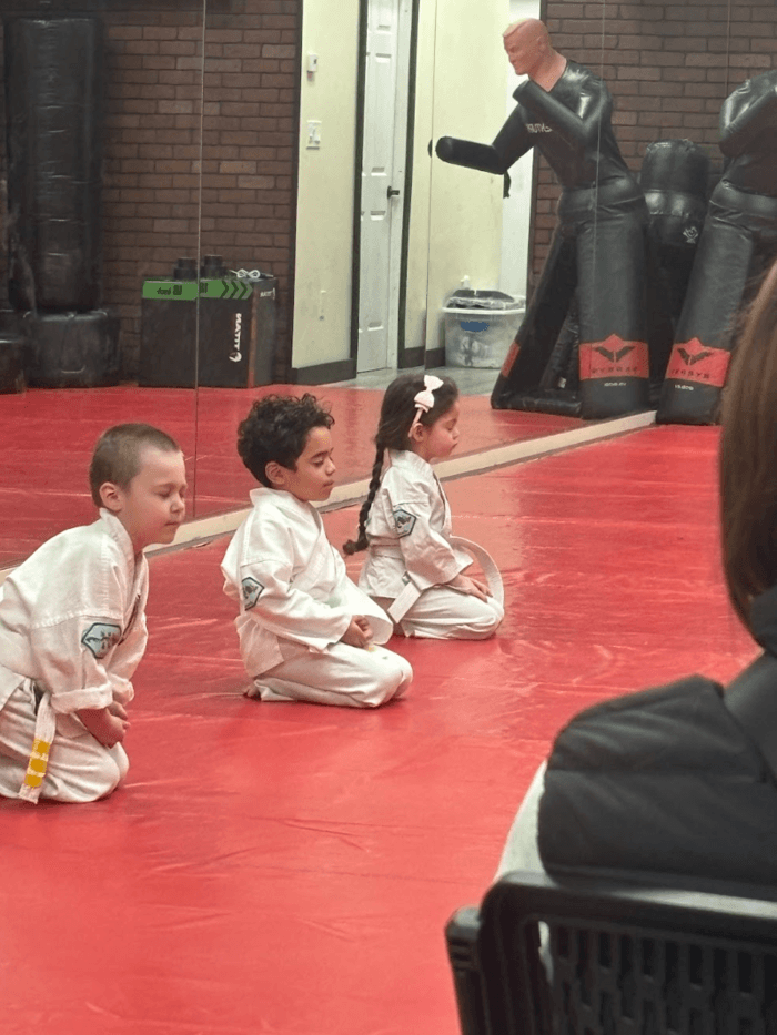 The First Step Your Mini Dragon's Success starts here!